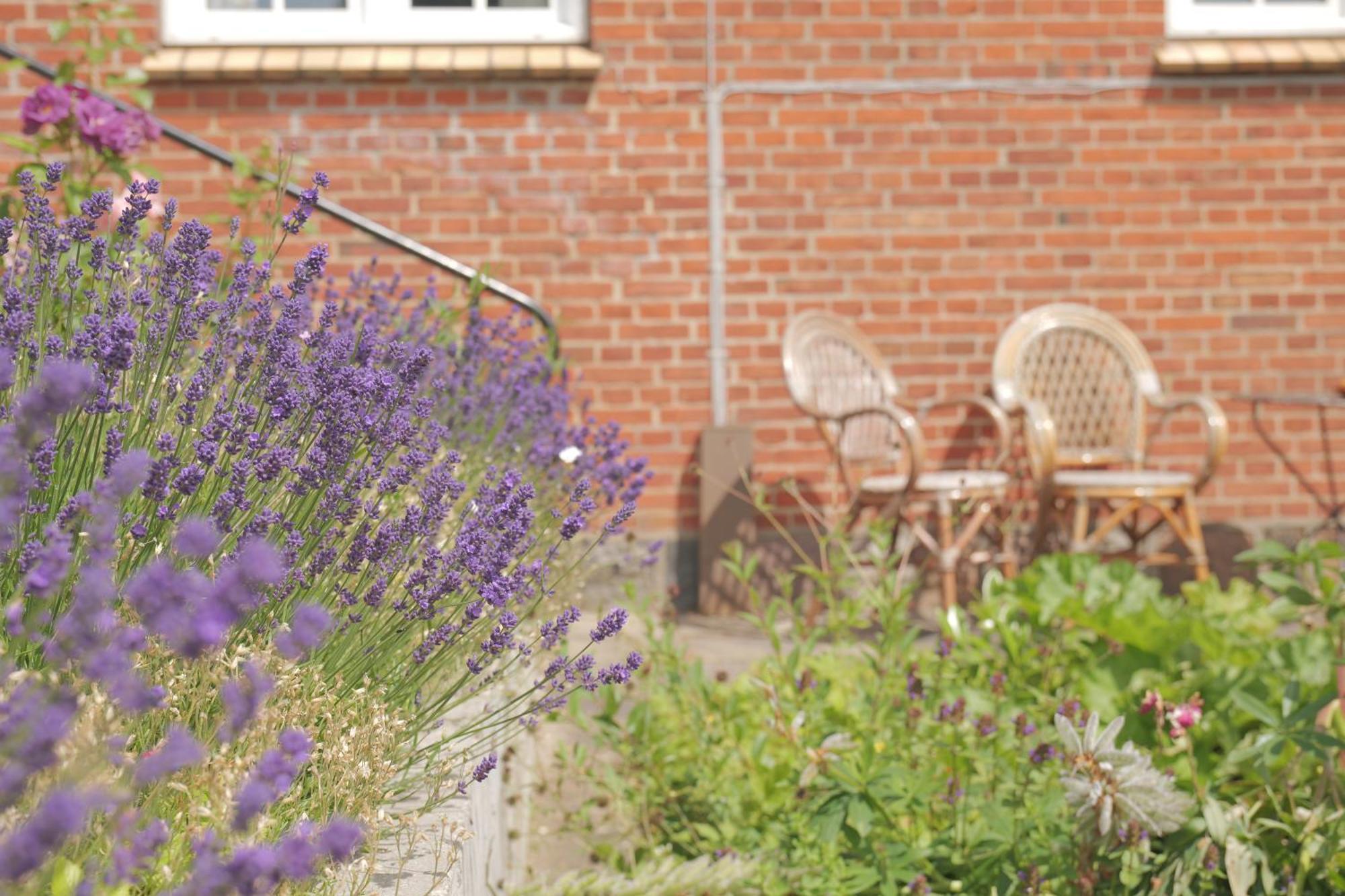 Huset I Hejls Bed & Breakfast Exterior photo